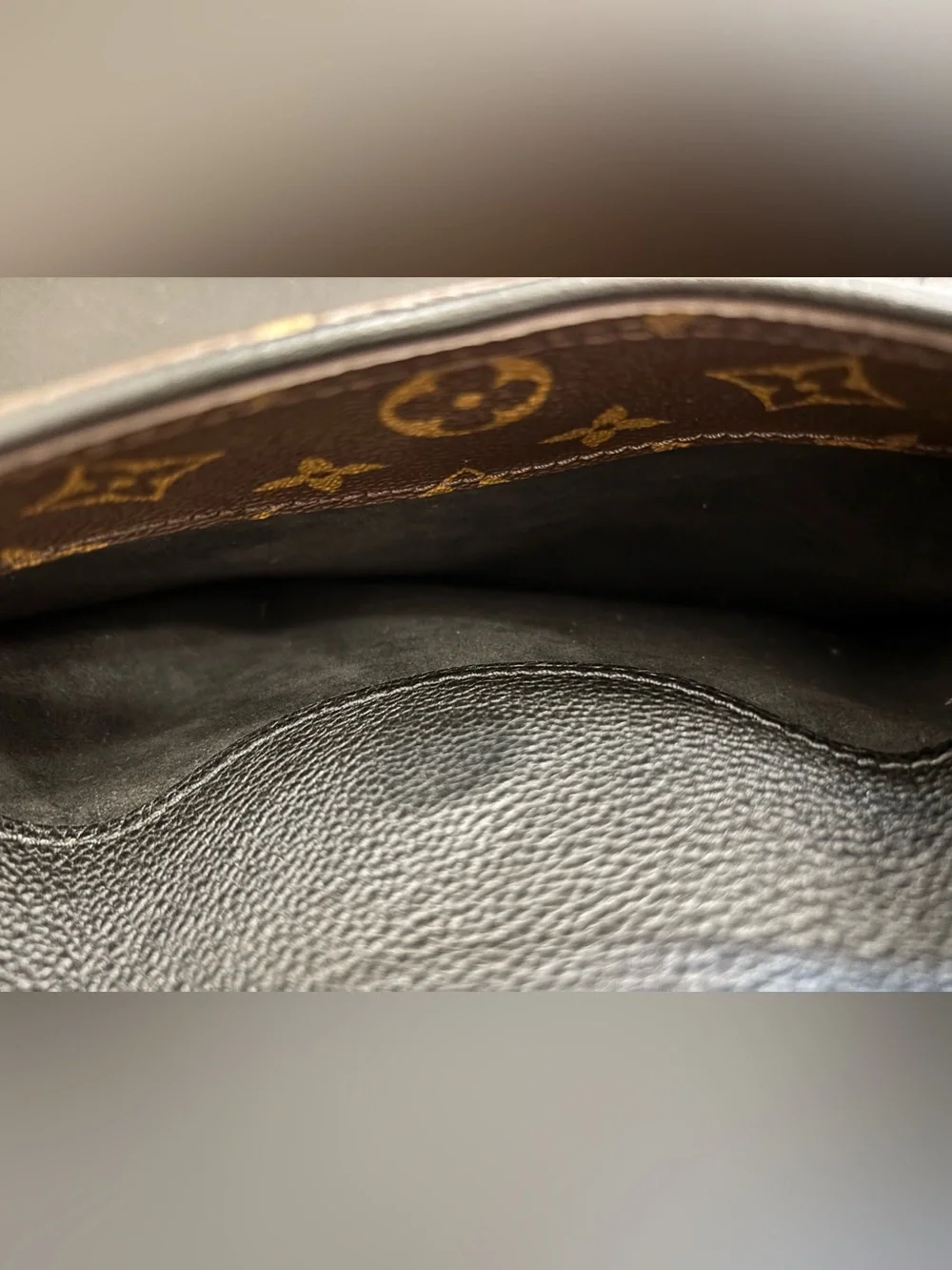 Louis Vuitton authentic louis